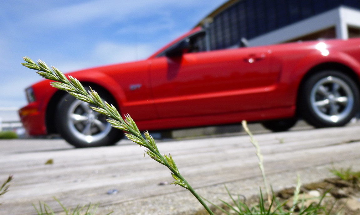 assets/images/activities/1-tag-ford-mustang-gt-cabrio-selber-fahren-in-langenau-raum-ulm/1280_0003_P1010041-1150x686x90.jpg