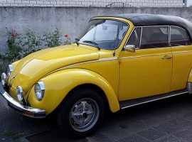 assets/images/activities/1-tag-vw-kaefer-mieten-schifferstadt/1280_0001_20150709_193402-270x200x90.jpg