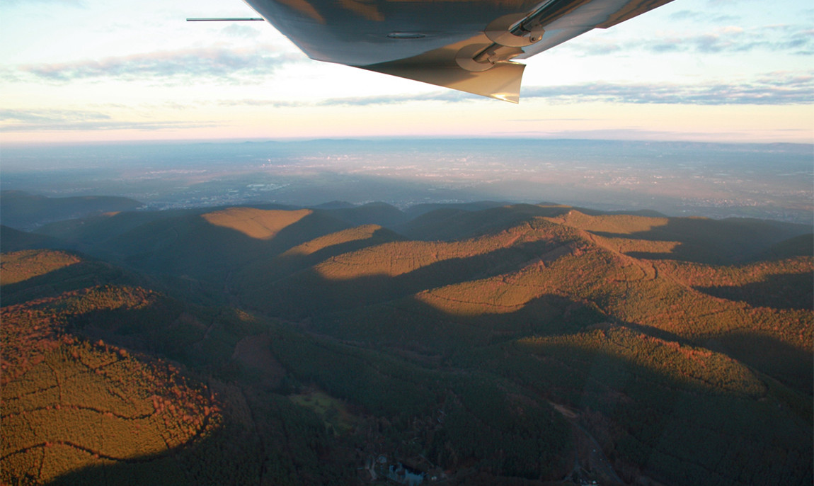 assets/images/activities/30-min-flugzeug-rundflug-ueber-worms-rheinland-pfalz/Rundflug-Worms-8-1150x686x90.jpg