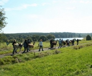 Bekanntschaften raum fulda Bekanntschaften Kostenlos Koblenz -