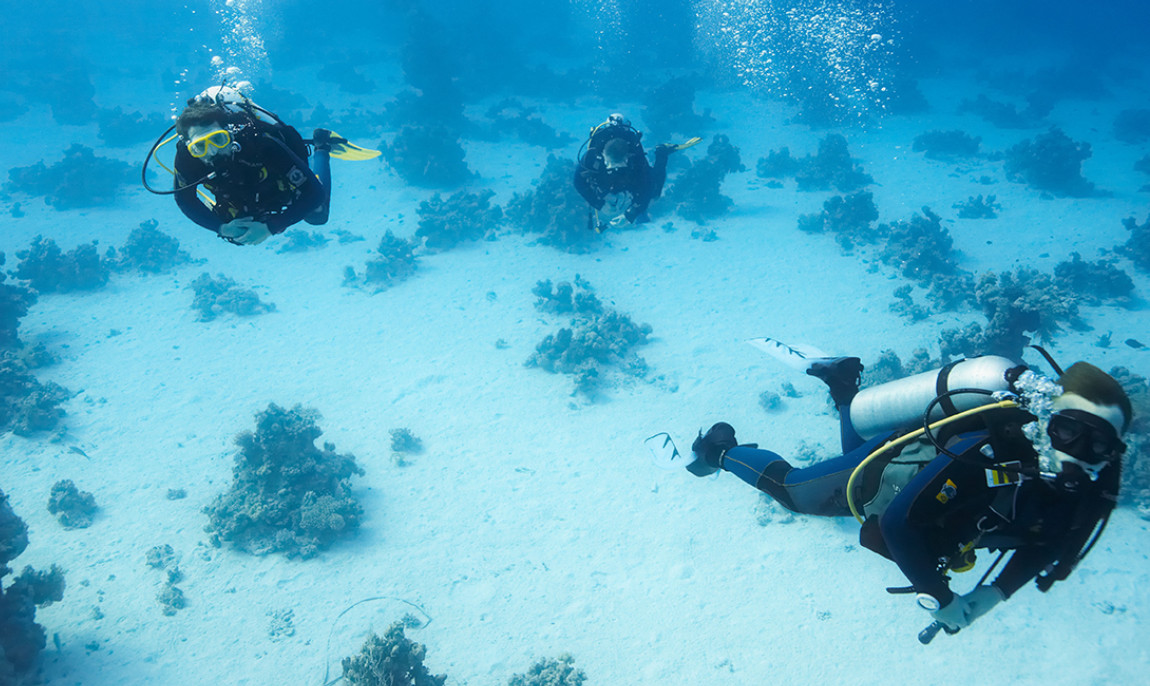 assets/images/activities/abenteuer-tauchen-mannheim/1280_0000_Fotolia_35297670_Subscription_XXL-1150x686x90.jpg