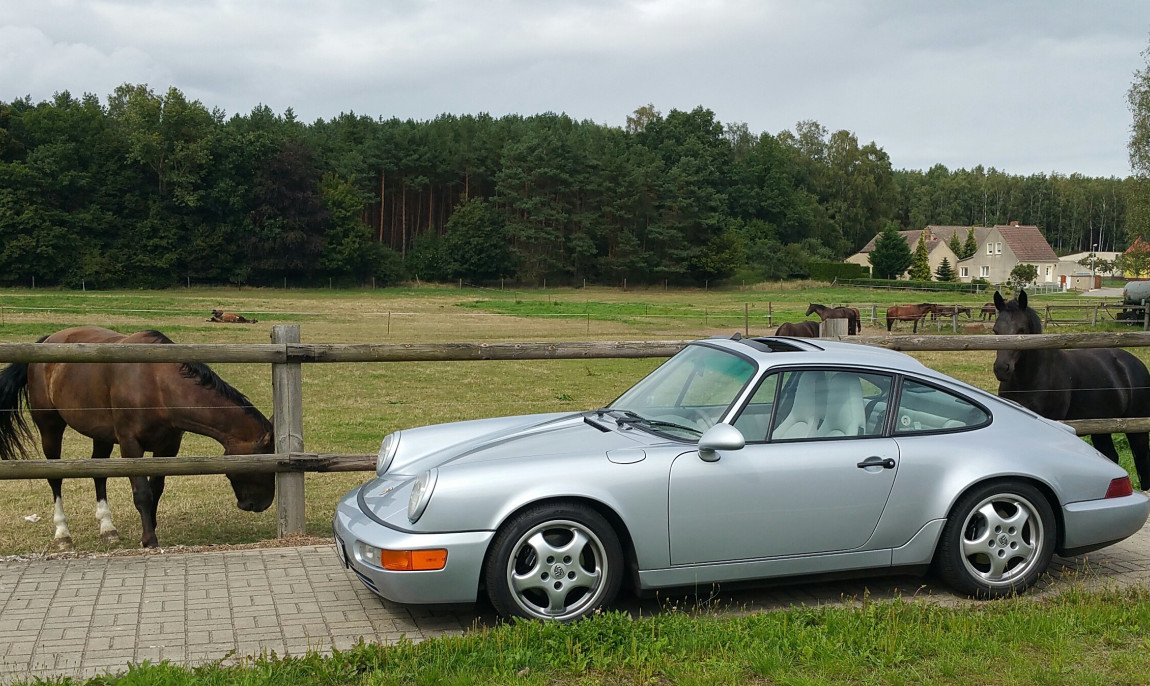 assets/images/activities/berlin-5-std-porsche-911-selber-fahren-fischessen/20160823_145714-1-1150x686x90.jpg