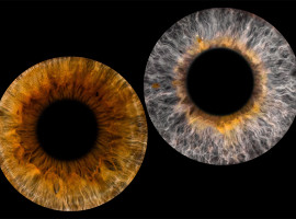 Iris Fotoshooting für 2 Personen in Langen