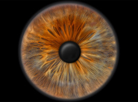 assets/images/activities/bochum-langendreer-iris-fotoshooting/mot-iri-1-270x200x90.jpg