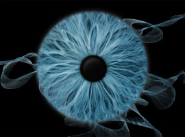 assets/images/activities/bochum-langendreer-iris-fotoshooting/mot-iri-2-270x200x90.jpg