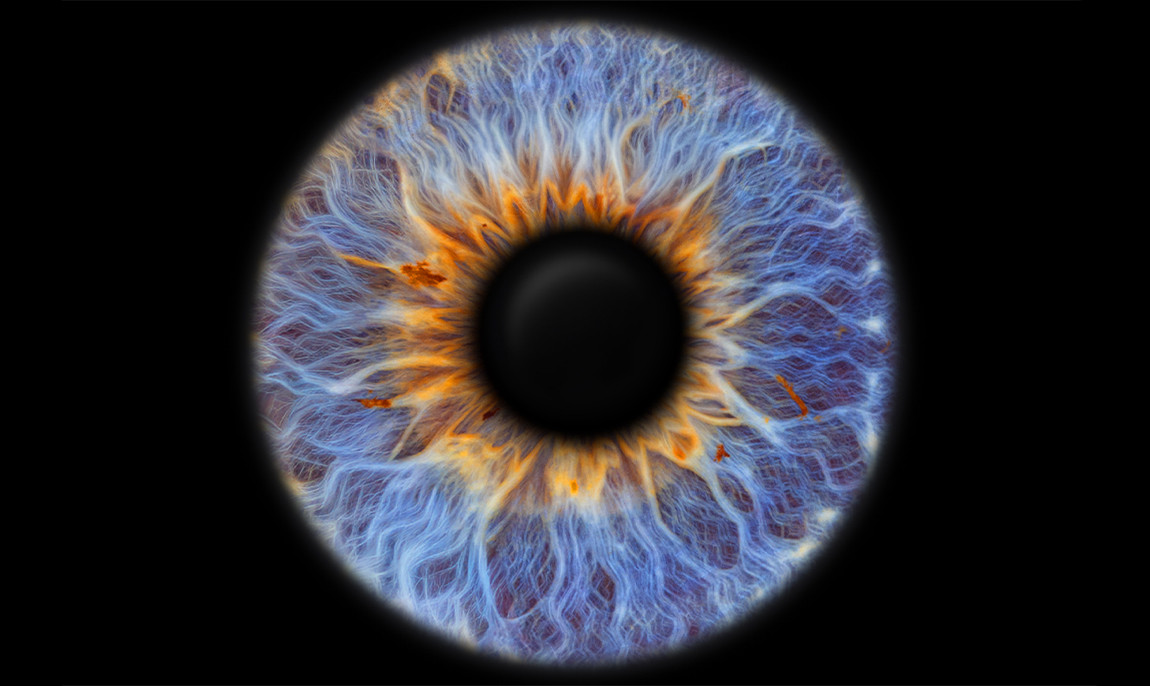 assets/images/activities/bochum-langendreer-iris-fotoshooting/mot-iri-3-1150x686x90.jpg