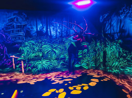assets/images/activities/dresden-kaditz-schwarzlichtminigolf/Bar-eve-33-270x200x90.jpg