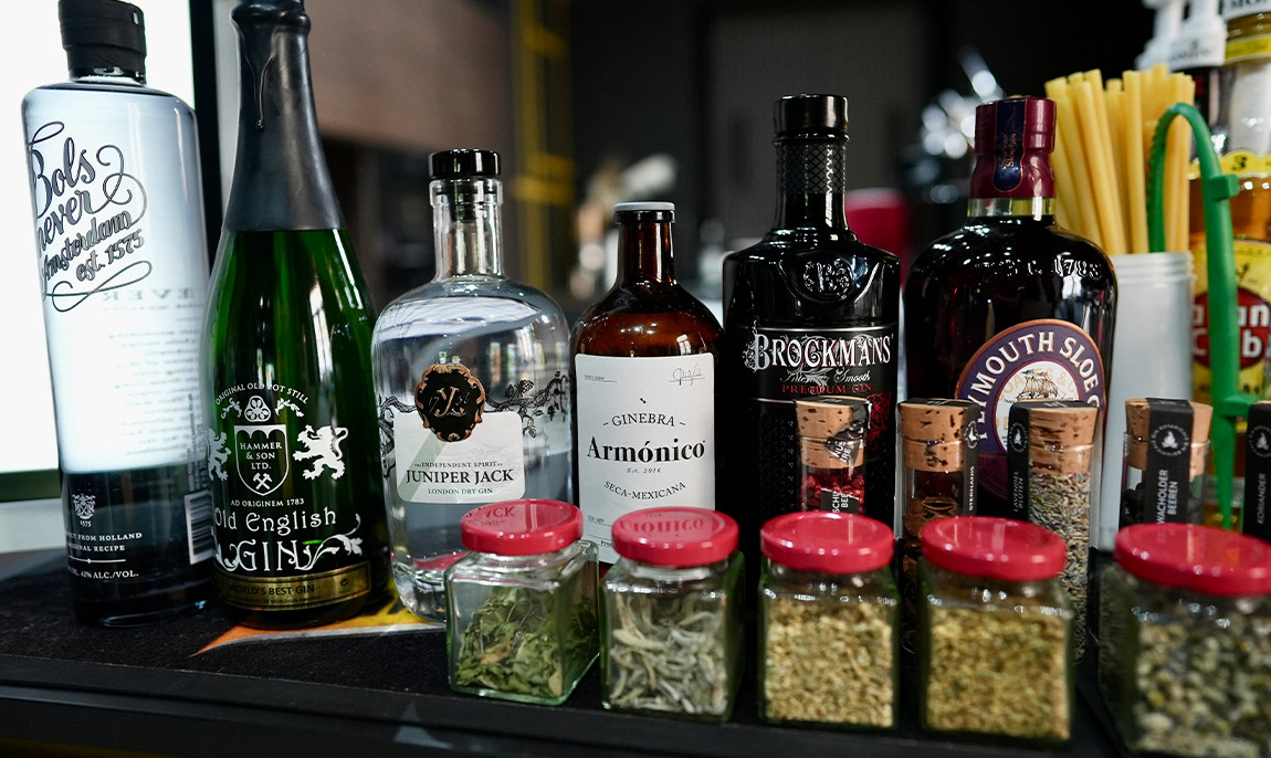 assets/images/activities/dresden-loebtau-35-std-gintasting/Gin-Mag-2-1150x686x90.jpg