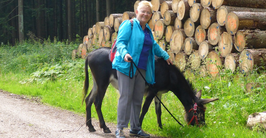esel kennenlernen esel kennenlernen