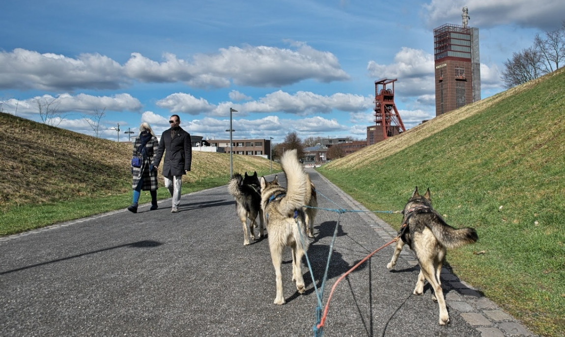 assets/images/activities/essen-husky-schlittenfahrt/huskytrail1_005-1150x686x90.jpg