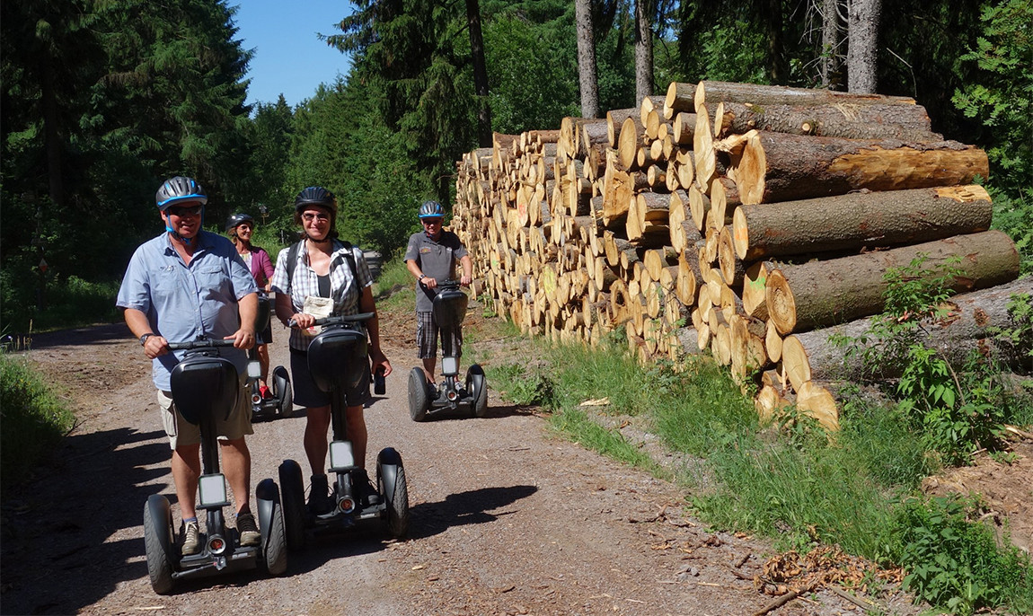 assets/images/activities/gehren-grossbreitenbach-segway-tour/HoheTanne_5-1150x686x90.jpg