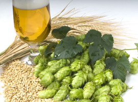 assets/images/activities/glattbach-craft-beer-tasting/Fotolia_8927220_Subscription_XL-270x200x90.jpg