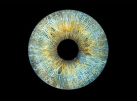 assets/images/activities/gomaringen-iris-fotoshooting-mit-bearbeitung-durch-digital-artist-fuer-2-personen/Iri-sch-001-270x200x90.jpg