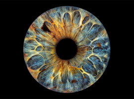 assets/images/activities/gomaringen-iris-fotoshooting-mit-bearbeitung-durch-digital-artist-fuer-2-personen/Iri-sch-007-270x200x90.jpg