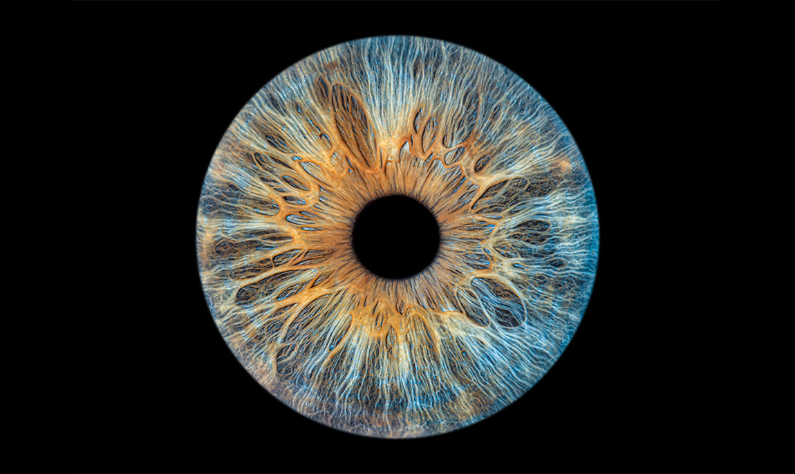 assets/images/activities/gomaringen-iris-fotoshooting/Iri-sch-012-1150x686x90.jpg