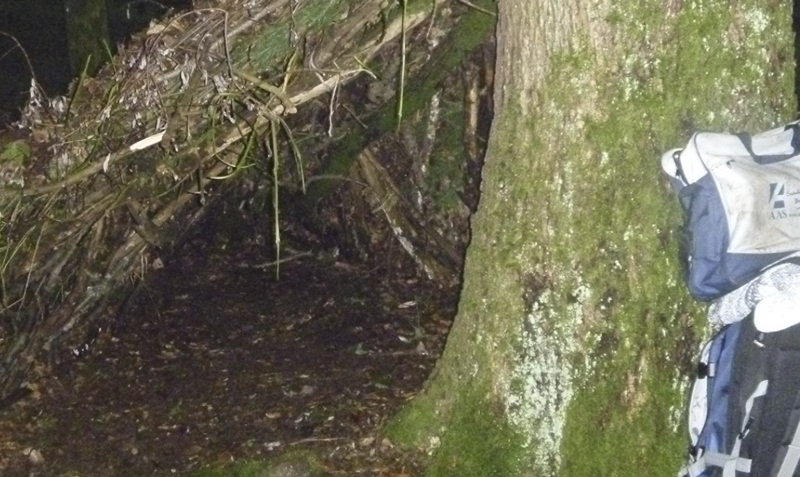 assets/images/activities/greifenstein-survival-kurs/1280_0003_P1050516-1150x686x90.jpg