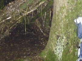 assets/images/activities/greifenstein-survival-kurs/1280_0003_P1050516-270x200x90.jpg