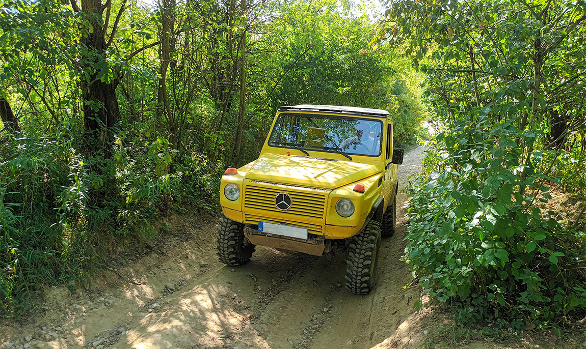 assets/images/activities/grossmehring-60-min-mercedes-gklasse-offroad-selber-fahren/off-Mer-1-1150x686x90.jpg