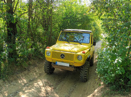 assets/images/activities/grossmehring-60-min-mercedes-gklasse-offroad-selber-fahren/off-Mer-1-270x200x90.jpg