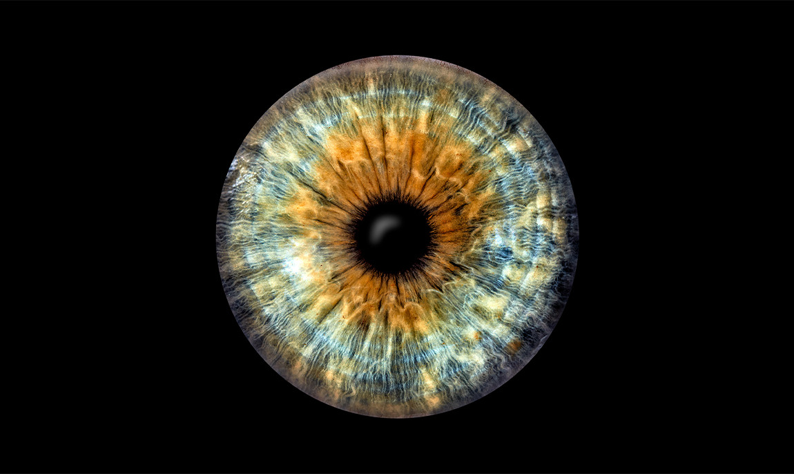 assets/images/activities/hassfurt-iris-fotoshooting/iri-mue-16-1150x686x90.jpg