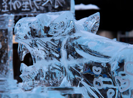assets/images/activities/hohenstadt-eis-schnitz-workshop/1280_0001_ice-carving-837377-270x200x90.jpg