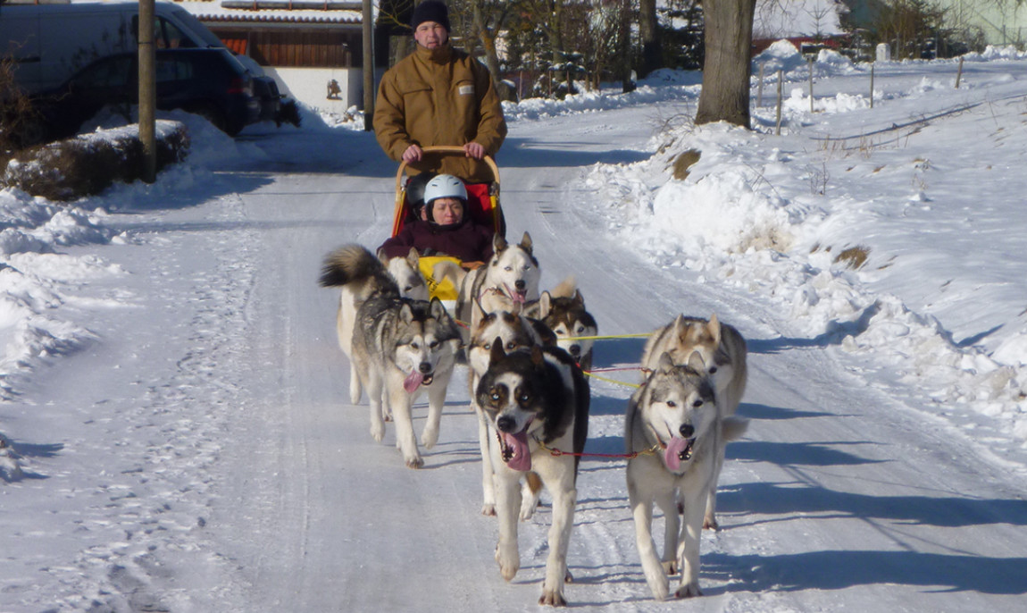 assets/images/activities/husky-romantikfahrt-in-brunnhartshausen-raum-erfurt/1280_0006_416-1150x686x90.jpg