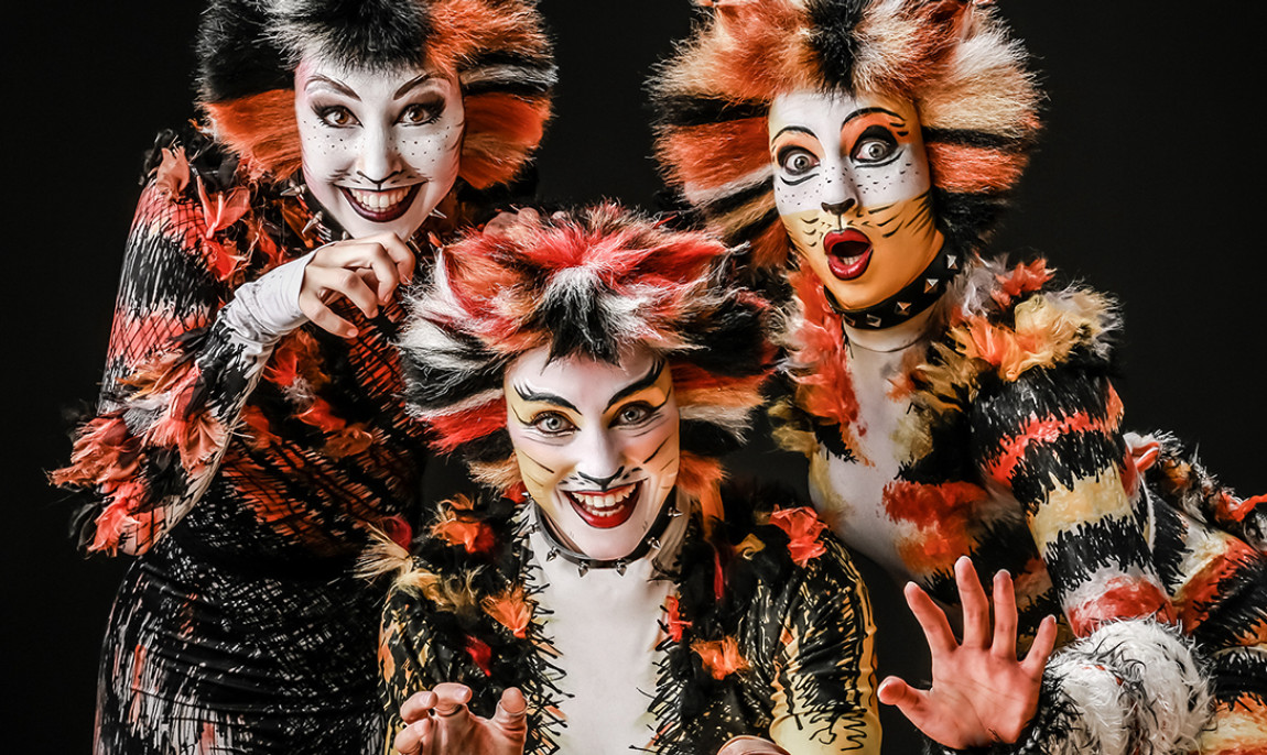 assets/images/activities/kluetz-musical-dinnershow/1280_0003_Werbung%20Cats%20DS%20Entertainment-1150x686x90.jpg