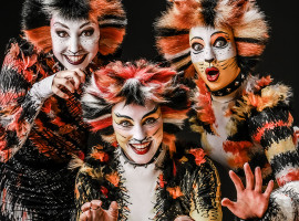assets/images/activities/kluetz-musical-dinnershow/1280_0003_Werbung%20Cats%20DS%20Entertainment-270x200x90.jpg