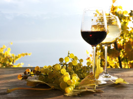 assets/images/activities/krimi-und-wein-tasting-online/Fotolia_27278324_Subscription_L-270x200x90.jpg