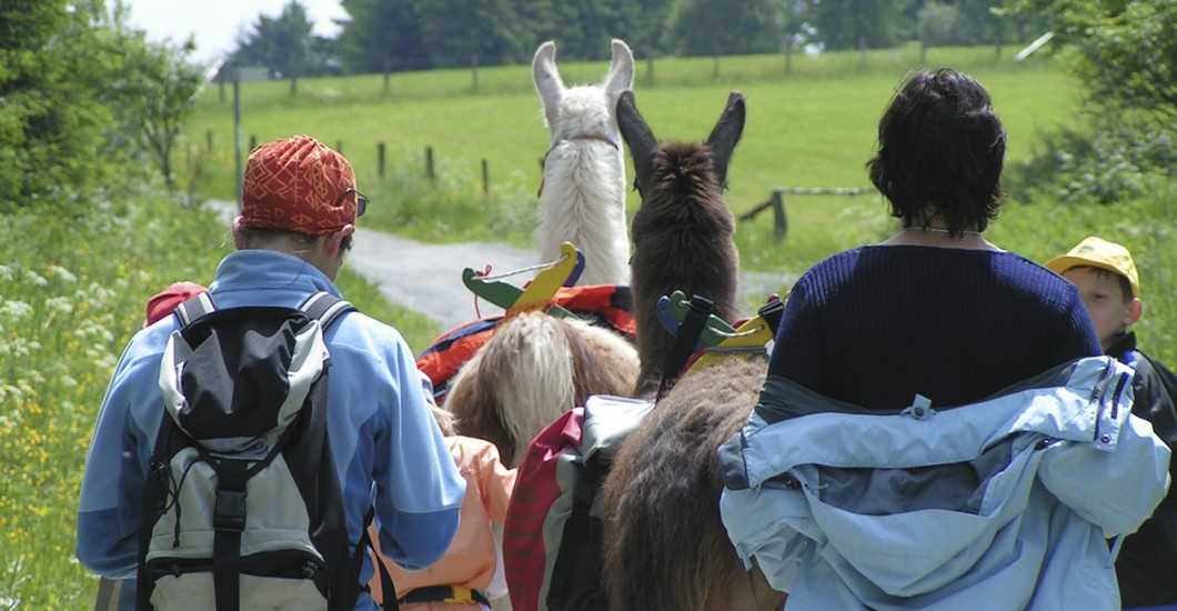 Atemberaubende Landschaften und liebenswerte Tiere bei der ...