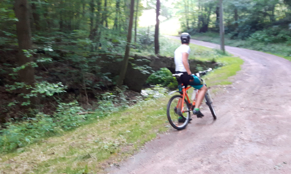 assets/images/activities/lengenfeld-mountainbike-tour/1280_0000_image-1150x686x90.jpg