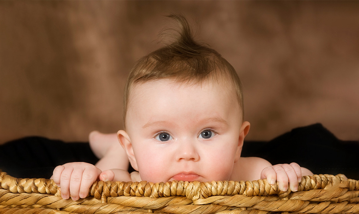 assets/images/activities/lippstadt-lipperbusch-baby-fotoshooting-fuer-112-personen/Pet-Bab-1-1150x686x90.jpg