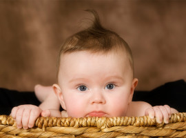 assets/images/activities/lippstadt-lipperbusch-baby-fotoshooting-fuer-112-personen/Pet-Bab-1-270x200x90.jpg