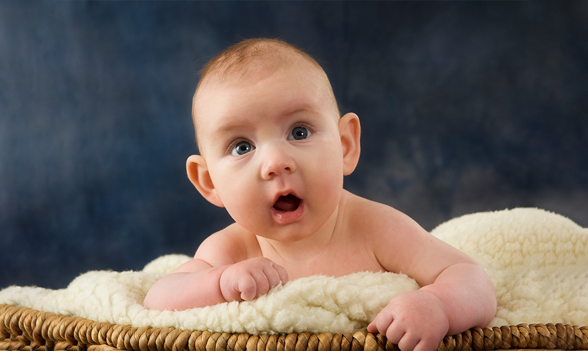 assets/images/activities/lippstadt-lipperbusch-baby-fotoshooting-fuer-112-personen/Pet-Bab-2-1150x686x90.jpg