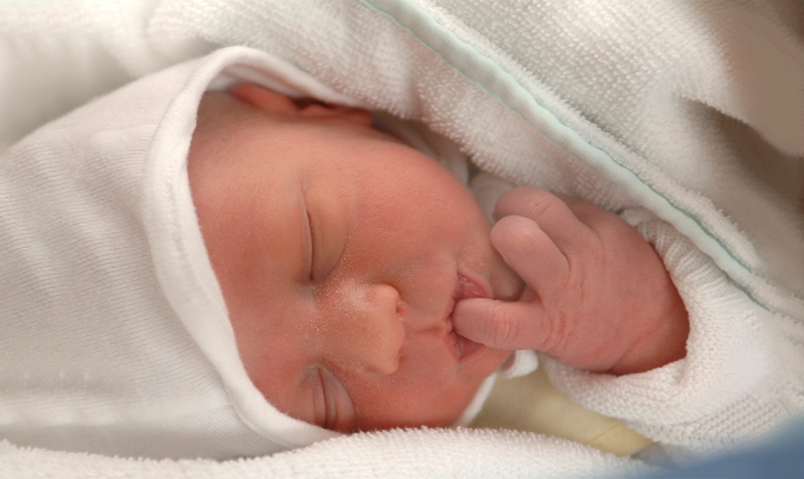 assets/images/activities/lippstadt-lipperbusch-baby-fotoshooting-fuer-112-personen/Pet-Bab-6-1150x686x90.jpg