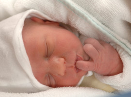 assets/images/activities/lippstadt-lipperbusch-baby-fotoshooting-fuer-112-personen/Pet-Bab-6-270x200x90.jpg