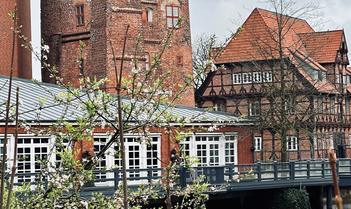 assets/images/activities/lueneburg-altstadt-30-min-hot-stonerueckenmassage/L%C3%BCn-mas-6-1150x686x90.jpg