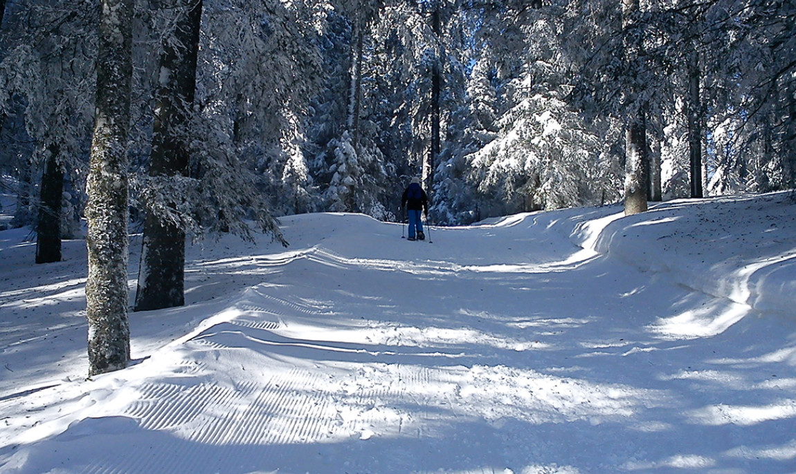 assets/images/activities/menzenschwand-schneeschuh-wanderung-privat-stunde/1280_0000_DSC00070-1150x686x90.jpg