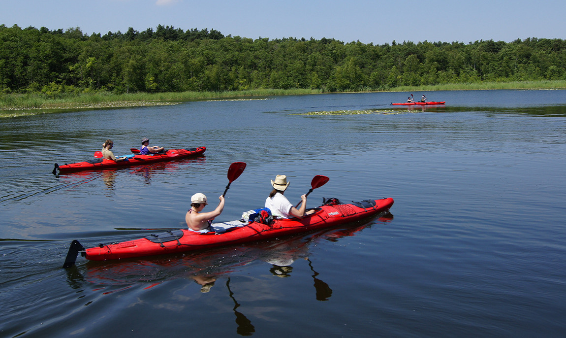 assets/images/activities/mirow-4-std-ungefuehrte-kanutour-mueritz-nationalpark/kanu-pad-4-1150x686x90.jpg