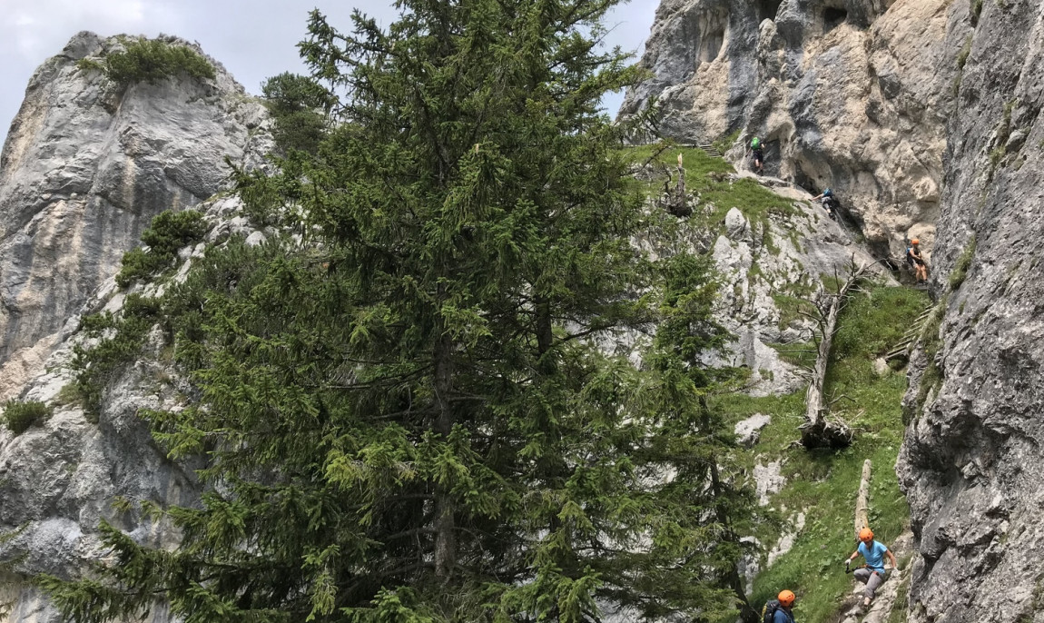 assets/images/activities/mittenwald-1-tag-klettersteigfuehrung-ueber-den-mittenwalder-hoehenweg/tegelberg-klettersteig-im-allgaeu-am-29062024~15-1150x686x90.jpg