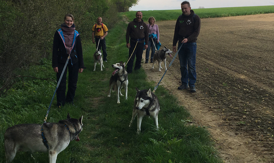 assets/images/activities/moedingen-husky-wochenende/1280_0002_img_8636-1150x686x90.jpg