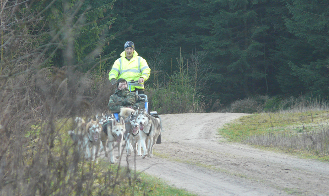 assets/images/activities/moedingen-schlittenhunde-fahrt/1280_0000_P1070420-1150x686x90.jpg