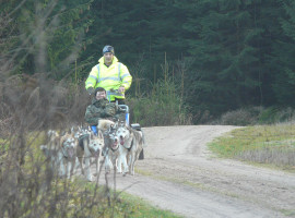 assets/images/activities/moedingen-schlittenhunde-fahrt/1280_0000_P1070420-270x200x90.jpg