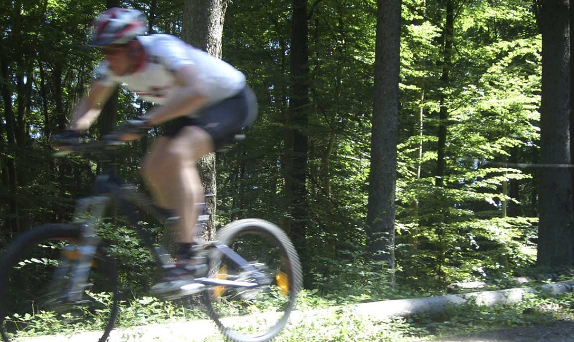 assets/images/activities/mountainbike-wochenende-kurs-in-elmstein-raum-kaiserslautern/1280_0007_097-1150x686x90.jpg
