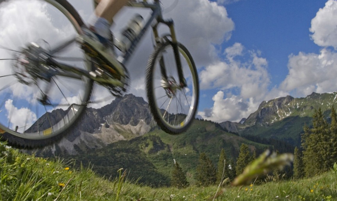 assets/images/activities/mudau-steinbach-gefuehrte-mountainbiketour/1280_0003_Fotolia_8007815_Subscription_L-1150x686x90.jpg