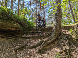Mountainbike Kurs Nürnberg