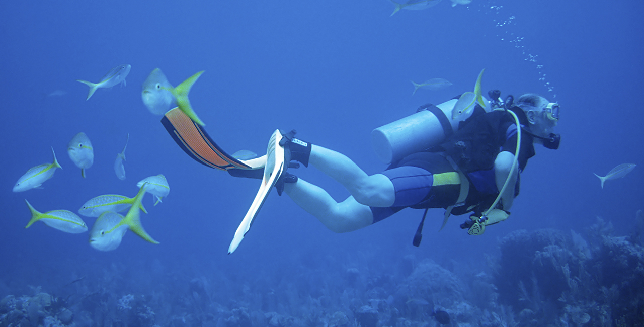 Open Water Diver Kurs Worms Open Water Diver Kurs Worms