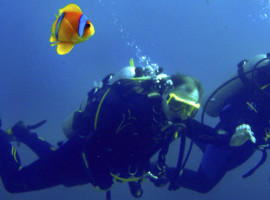 assets/images/activities/open-water-diver-kurs-worms/1280_0005_Fotolia_4931879_Subscription_L-270x200x90.jpg