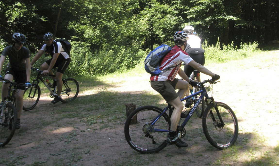 assets/images/activities/personal-trainer-fuer-mountainbike-in-elmstein-rheinland-pfalz/1280_0006_Einfu%CC%88hrung+5.7.2008+001-1150x686x90.jpg