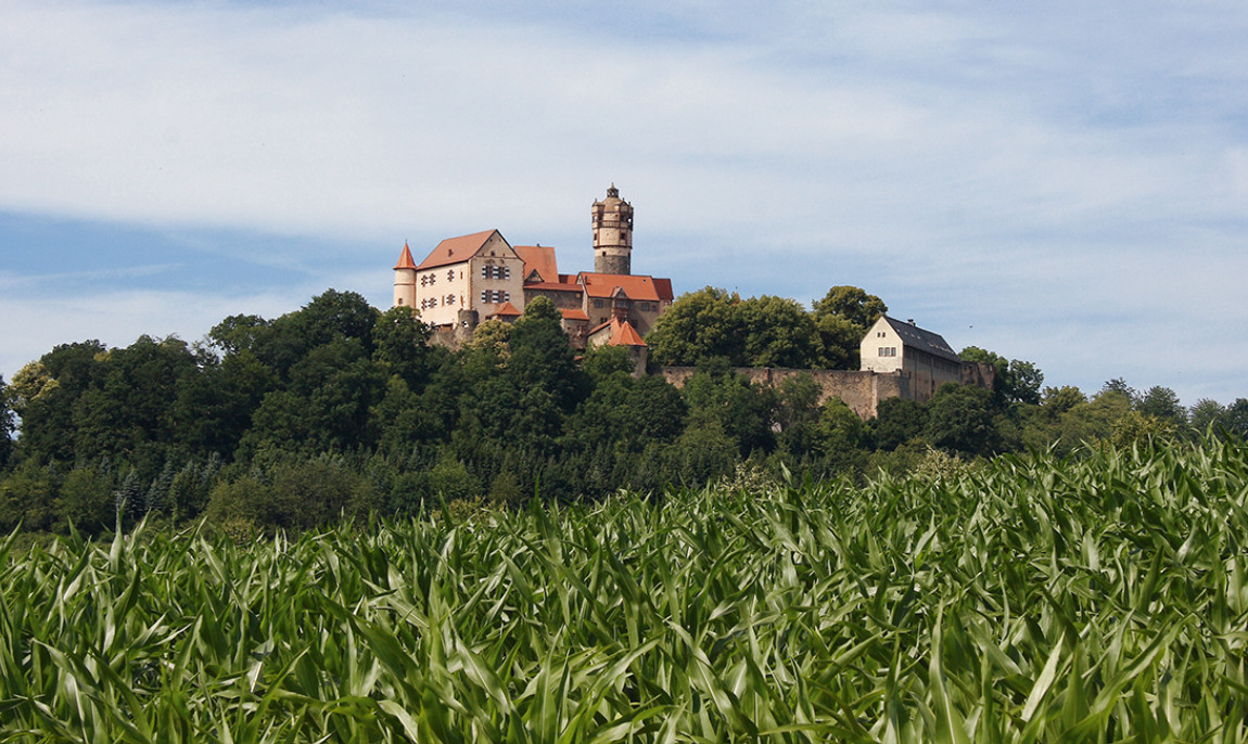 assets/images/activities/ritteressen-ronneburg/B01-1150x686x90.jpg